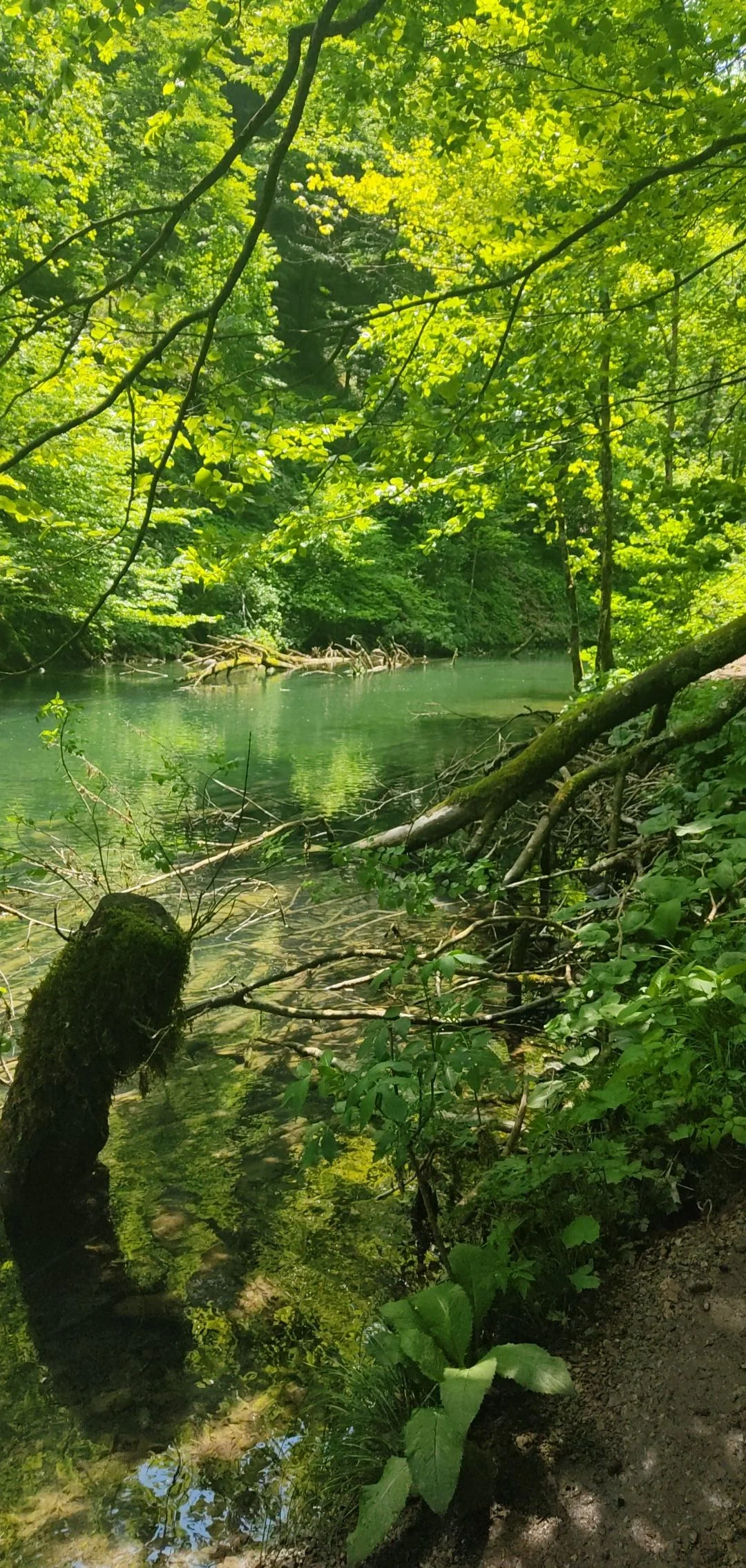 Kamačnik i Vrbovsko