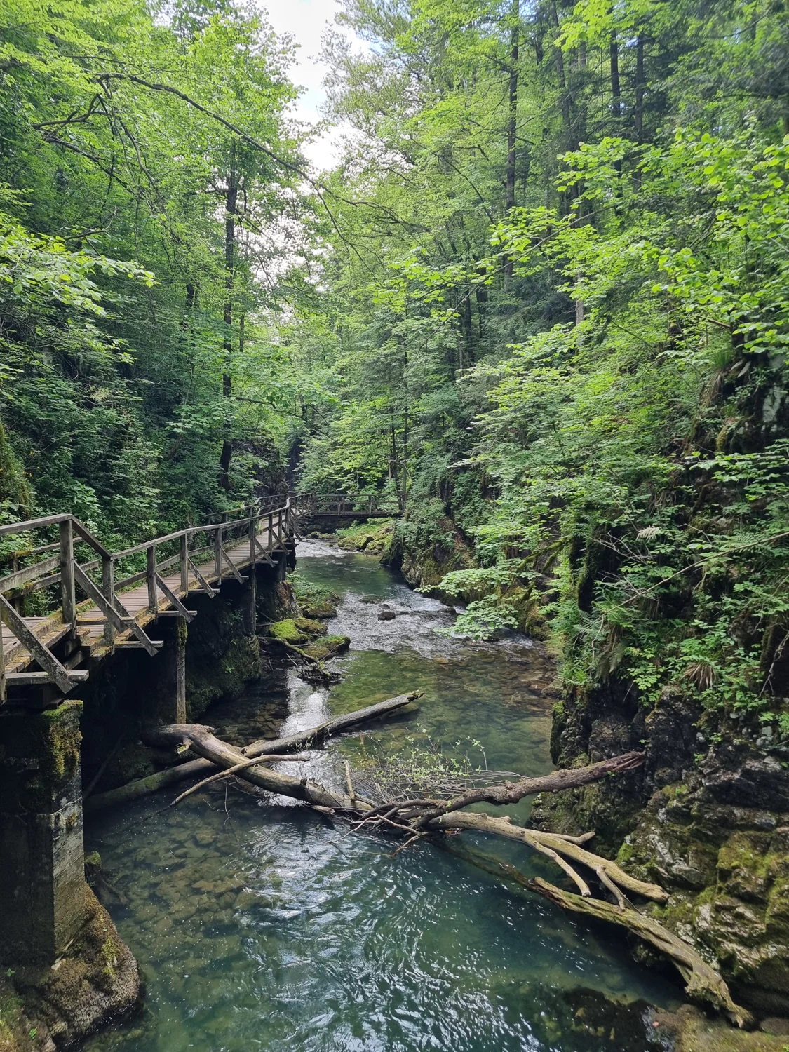 Kamačnik i Vrbovsko