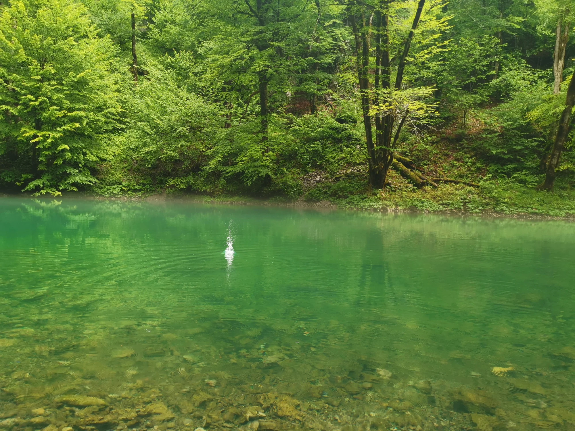 Source de la Kupa · Risnjak