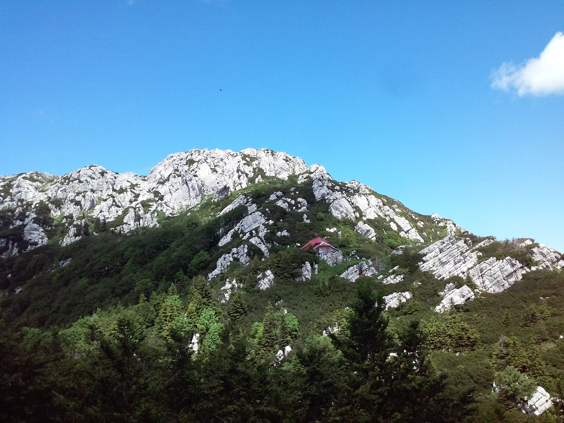 Park Narodowy Risnjak